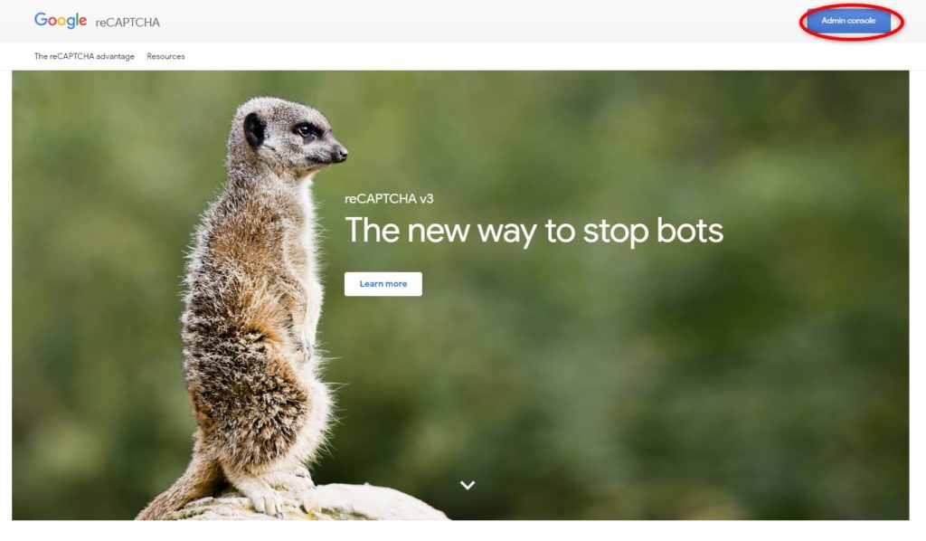Invisivle reCaptcha